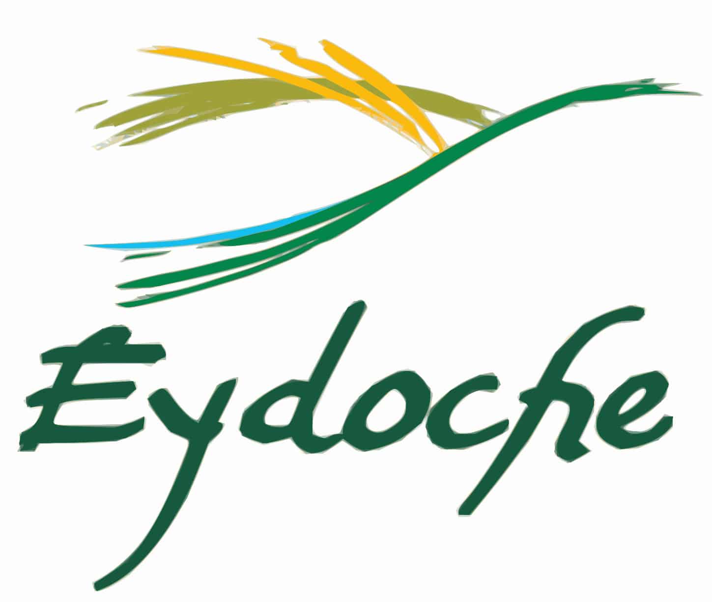 logo eydoche